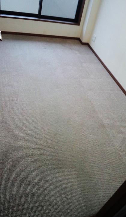 carpet-akibeya-0jpg.jpg