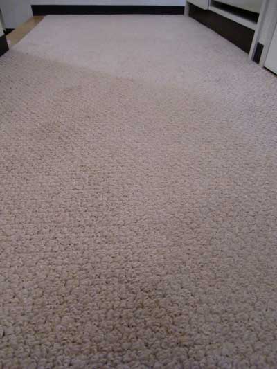 carpet-cleaning-simi01.jpg