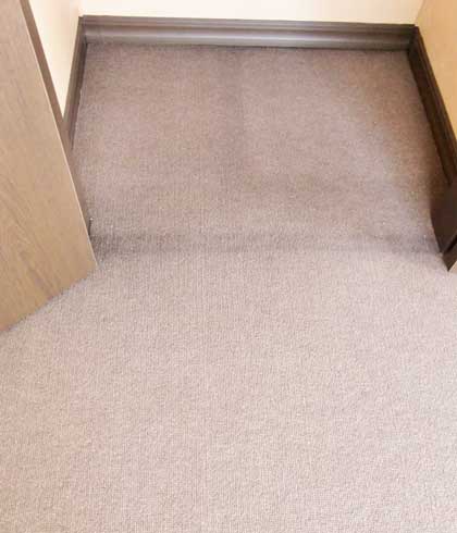 carpet-cleaning00.jpg