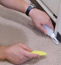 carpet-cleaning02.jpg