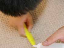 carpet-cleaning04.jpg