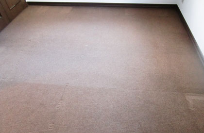 carpet-cleaning1.jpg