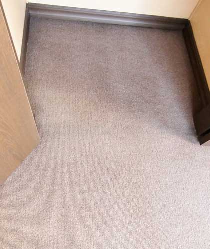 carpet-cleaning11.jpg