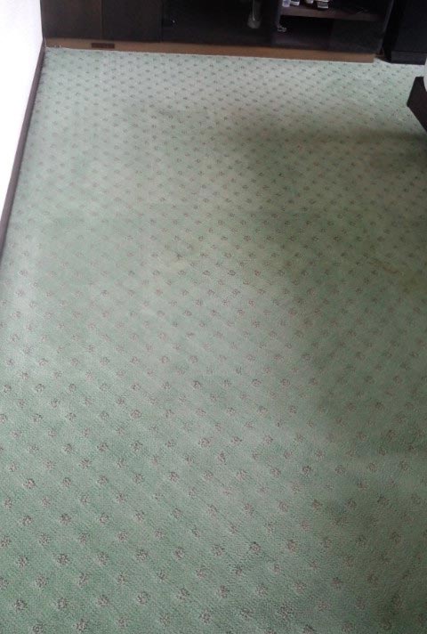 carpet-green00.jpg