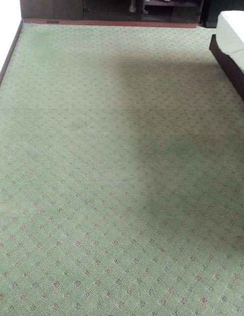carpet-green01.jpg