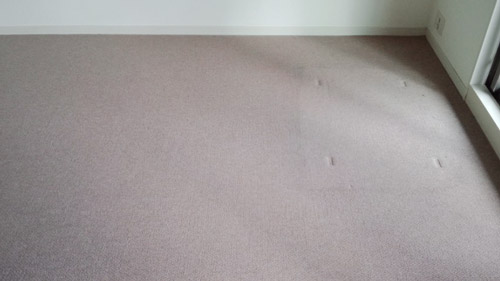 carpet-kagunoato0.jpg