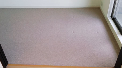 carpet-kagunoato1.jpg