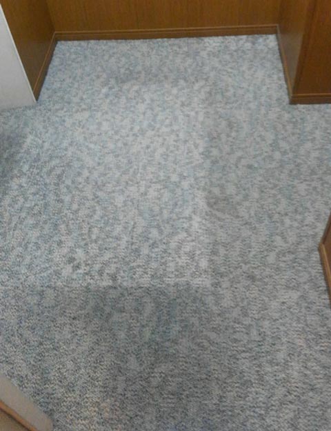 carpet-matnoato0.jpg