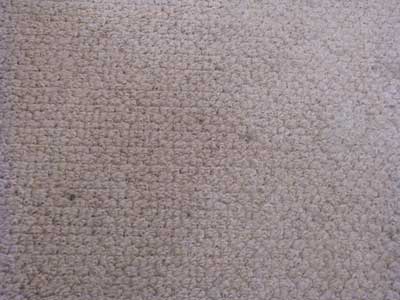 carpet-simi0.jpg