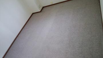 carpet-yogore-ato01.jpg