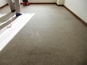 carpetcleaning-bacume0.jpg