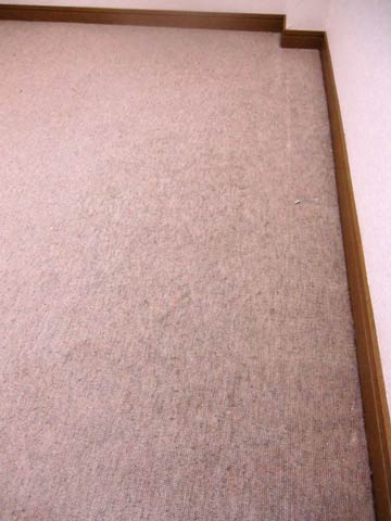 carpetcleaning-kyositu0.jpg