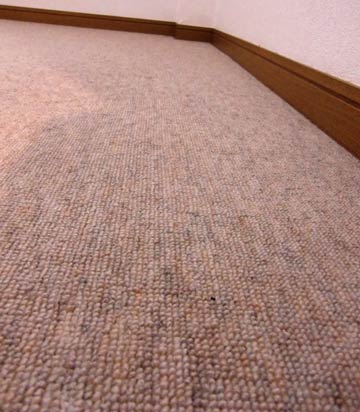 carpetcleaning-kyositu1.jpg