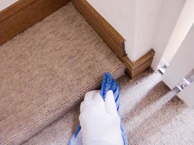 carpetcleaning-polish-hand.jpg