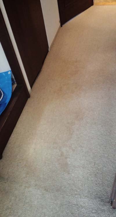 carpetcleaning-rouka-simi0.jpg