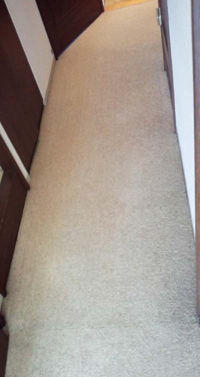 carpetcleaning-rouka-simi1.jpg