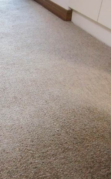 carpetcleaning-rouka-zoom1.jpg