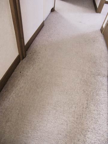 carpetcleaning-rouka0.jpg