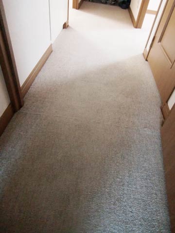 carpetcleaning-rouka1.jpg