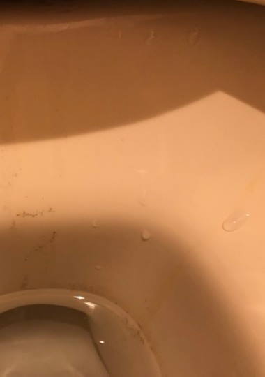 kaji-souji-biofilm-toilet-kabi.jpg