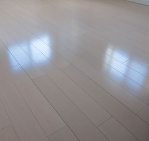 new-floor-wax00.jpg