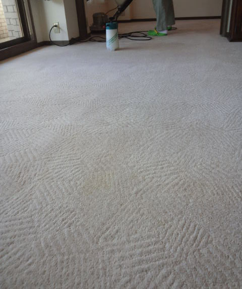 wool100%carpetcleaning1.jpg