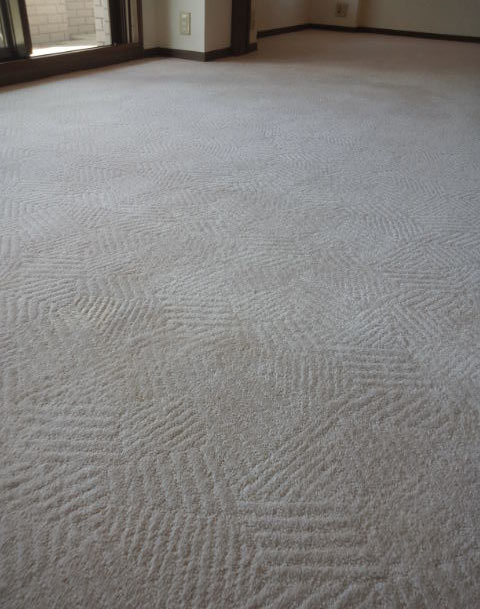 wool100%carpetcleaning2.jpg